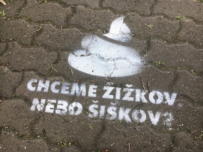 Vzkazy z Vídně a Londýna: „Neuklízíte exkrementy po svých domácích mazlíčcích? Tak zaplatíte tučnou pokutu!“